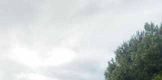 غارة’ للطيران’ الحربي’ الإسرائيلي’ على شركة المياه في مدينة صور .(فيديو)