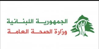وزارة الصحة: 4 شهــــــداء’ جراء غارة’ على بلدة معركة وشهيد’ جراء غارة’ القليلة
