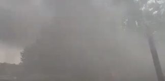 *مصدر أمني لبناني: استهداف’ الجيش اليوم هدفه إبعاده عن طريق الناقورة – صور*