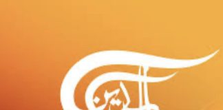 الميادين”: مسيرة إسرائيلية’ استهدفت سيارة متوقفة في بلدة مجدل