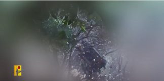 مشاهد من عملية استهداف المقاومة’ تجمع للجنود الإسرائيليين في مستوطنة أفيفيم شمال فلسطين المحتلة’ بصوا’ريخ “نور 1”