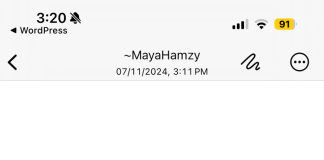 بالصورة :- غارة’ تستهدف حي الآثار في صور-الجنوب