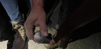 سقط صاروخ فجرا قرب المنازل في بلدة عين عنوب – قضاء عاليه للمرة الأولى منذ بدء العدوان، ما تسبب باندلاع حريق في المحلة من دون وقوع أي أضرار