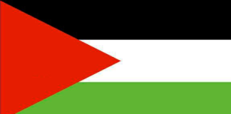 دولة فلسطين ترحب بقرار الجنائية الولية