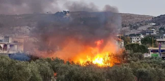 ماهو مشروع وقف اطلاق النار*الاسرائيلي؟