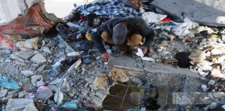 10 شهداء من عائلة واحدة في استهداف شقة سكنية وسط غزة