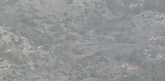 الجيش اللبناني أقفل الطريق المؤدي إلى وادي الحجير بدءاً من مركزه عند جسر قعقعية الجسر فيما دبابات «ميركافا» تجول في الوادي بالتزامن مع تمشيط مكثف لأحراجه