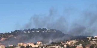 استشـ.هاد أحد رعاة الماشية في منطقة جنعم في بلدة شبعا بعد استهدافه بغارة’ مسيرة