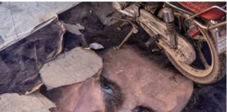 *سقوط الأسد يضع نهاية لعهد دام عقودًا، ويعيد رسم المشهد السياسي في سوريا والمنطقة*