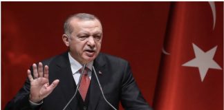 *الرئيس التركي: الشعب السورى توج انتفاضته بالنصر وأسقط نظام القمع*