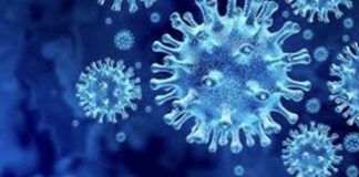 *الدراسات والاكتشافات متواصلة بشأن “فيروس كوفيد ١٩”*