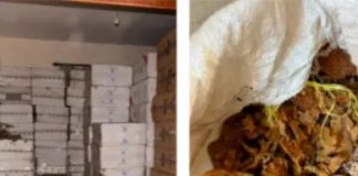 *ضبطت الريجي منتجات تبغية مهربة ومزورة*