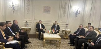 *توافق مصري إيراني على ضرورة التعاون لمنع زيادة التوتر في المنطقة*