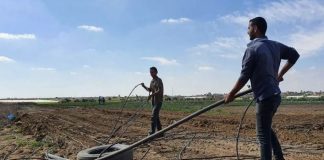 *وزارة الزراعة تدعو المعنيين إلى تعبئة الاستبيان الأولي في شأن الأضرار اللاحقة بـ القطاع الزراعي*