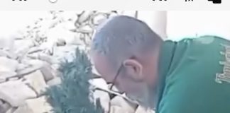 *بالفيديو :- من كنيسة دردغيا في جنوب لبنان، شجرة الميلاد المجيد فوق الركام*