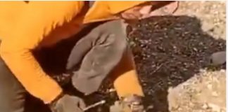 *بالفيديو: مواطن سوري يفكك “ألغام’ الأسد” بيده في ريف رحلب*