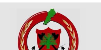 *الدفاع المدني: انتشال جثامين’ 3 شهداء’ من حي الجلاحية في الخيام*