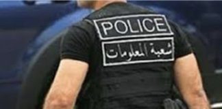 *مجهولون يسرقون المحاصيل الزراعية وشعبة المعلومات تتحرك*