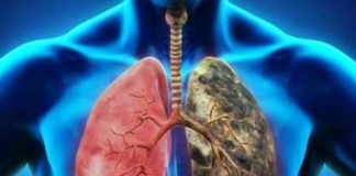 *كل سيجارة تقلل من عمرك… دراسة مرعبة وهامة!*