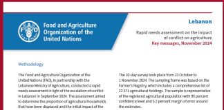 ما هو التقييم السريع للاحتياجات بحسب الفاو حول تأثير النزاع على الزراعة في لبنان؟
