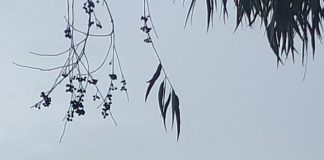 بالصوره: تدريبات للجيش اللبناني في جبل تربل وراء الأصوات القوية في طرابلس