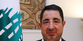 الحاج حسن: العلاقة متينة بين المقاومة والجيش