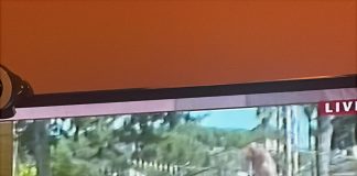 احتفالات بالعيشية مسقط رأس عون