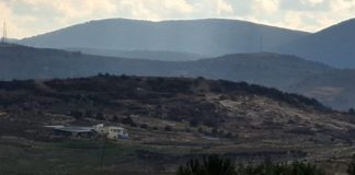 *بالصورة ؛ آثار التجريف في حرش بلدة يارون حيث اقتلعت الجرافات الإسرائيلية’ عشرات الأشجار المعمّرة منه*