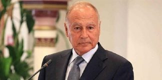 أبو الغيط من السراي: مع إستكمال عناصر الدولة يكون لبنان معدًا لتصفية الكثير من المشاكل