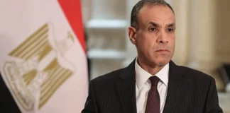 حاملاً رسالة من السيسي… وزير خارجية مصر في لبنان غداً