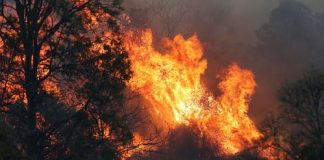 وفاة عائلة سورية اختناقا بحريق في شقتها في الدبية