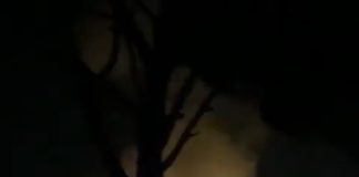 الغارة الثانية- على اطراف النبطية الفوقا قرب مدينة الملاهي “فرح”