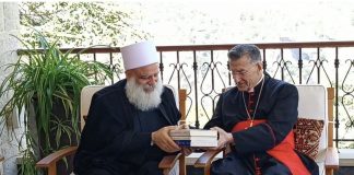 *شيخ العقل والبطريرك الراعي يدعوان النواب الى تحمل مسؤولياتهم وانتخاب رئيس*