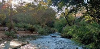 *ارتفاع بالفوسفور.. نتائج تحاليل “خطيرة” لمياه الليطاني*