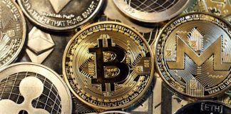 *أسعار العملات الرقمية مقابل الدولار اليوم الثلاثاء 21 يناير 2025*