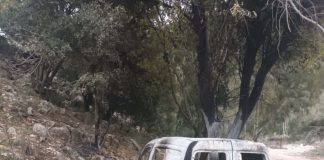 *معلومات عن العثور على رابيد في وادي السلوقي وسحب جثت’ من قبل الصليب الاحمر وهي مصابة بطلقات نارية من قبل الجيش الإسرائيلي’*