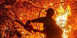 حرائق لوس أنجلوس تتجدد.. وأوامر إخلاء لأكثر من 50 ألف شخص