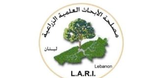 Lari: لا صحة لمنخفض جوي قوي ويبدو أن شباط لن يحمل معه ثلوجاً