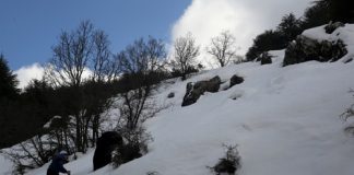 الثلوج والمتساقطات عائدة نهاية الشهر ولا جفاف!!