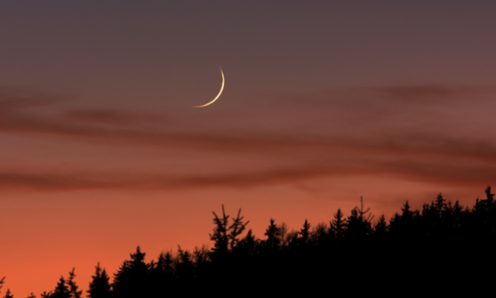 ٢٠٢٥٠١٢٩_٢٠٢٤٠٢-780x470