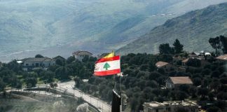 بريطانيا تدخل على خط الحل جنوبًا؟