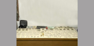 الجيش: توقيف شخصين في المعاملتين لتأليفهما عصابة للاتجار بالمخدرات وسرقة السيارات