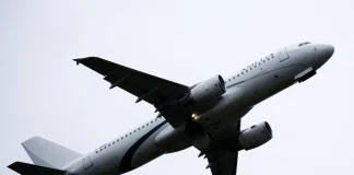 زوجان يجلسان بجانب جثة لعدة ساعات!