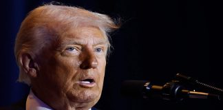 ترامب: “من المحتمل” أن ألتقي زيلينسكي الأسبوع المقبل