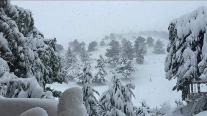 Doc-P-839490-638757983552259775