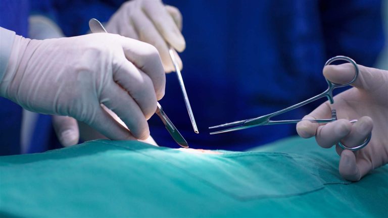 قضيته تعتبر الأخطر من نوعها في فرنسا… جراح يعترف أمام المحكمة: هذا ما فعلته بحفيدتي