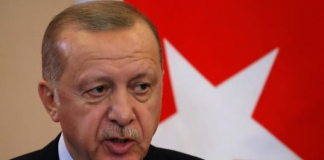 أردوغان يرد على خطة تهجير غزة ويطالب بملاحقة نتنياهو