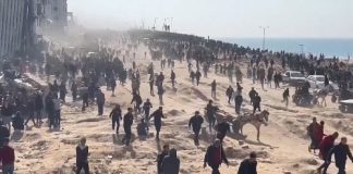 معاريف عن مصادر: إسرائيل” تعمل على تنفيذ المبادرة الأمريكية لتهجير سكان غزة وتروج أن هدف الخطة ليس دفع سكان غزة لمغادرة القطاع بل مساعدة المهتمين بالهجرة