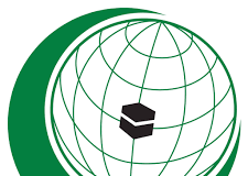 منظمة التعاون الإسلامي: اسرائيل قتلت قرابة 50 ألف فلسطيني منذ 7 ت1 وهدمت 74 بناء فلسطينيا وبنت 1047 مستوطنة بالضفة الغربية