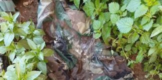 بالصورة : شهيد’ مقاتل من حز’ب الله وُجدت جثته في الجنوب